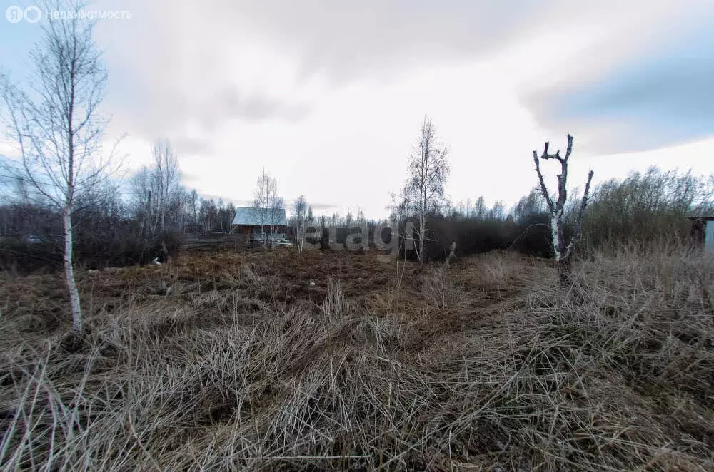 Участок в село Ключи, улица Мира (12 м) - Фото 1