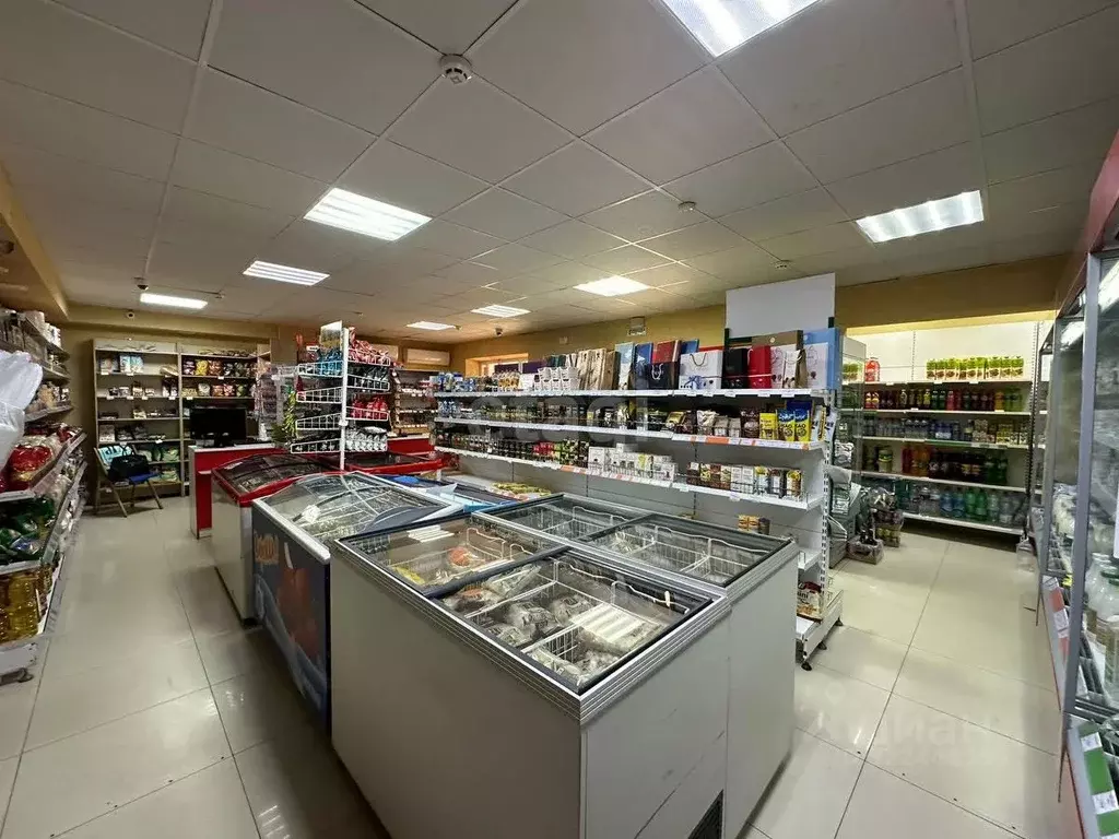 Помещение свободного назначения в Северная Осетия, Владикавказ ... - Фото 1