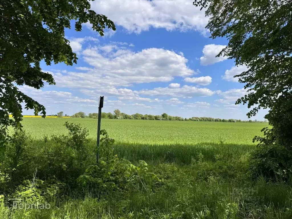 Участок в Калининградская область, Гурьевский муниципальный округ, ... - Фото 1