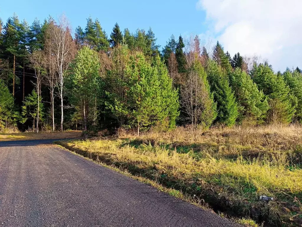 Участок в Московская область, Клин городской округ, Решетниково рп ул. ... - Фото 1