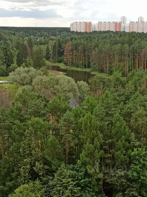 1-к кв. московская область, ленинский городской округ, дрожжино рп ул. . - Фото 0