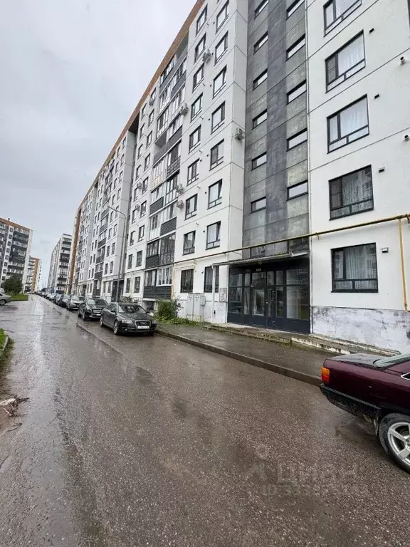 Студия Псковская область, Псковский муниципальный округ, д. Борисовичи ... - Фото 1