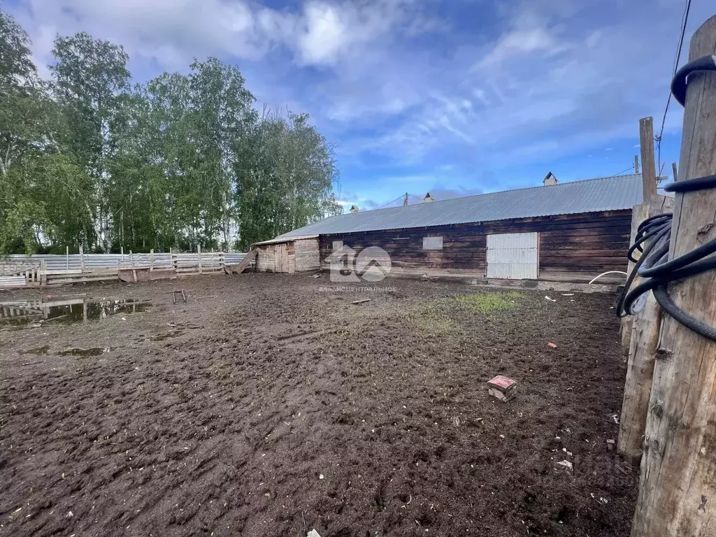 Помещение свободного назначения в Новосибирская область, Коченевский ... - Фото 1