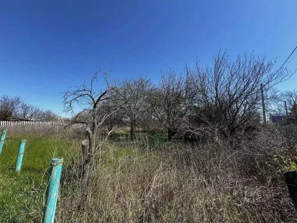 Участок в Белгородская область, Белгородский район, Тавровское с/пос, ... - Фото 1