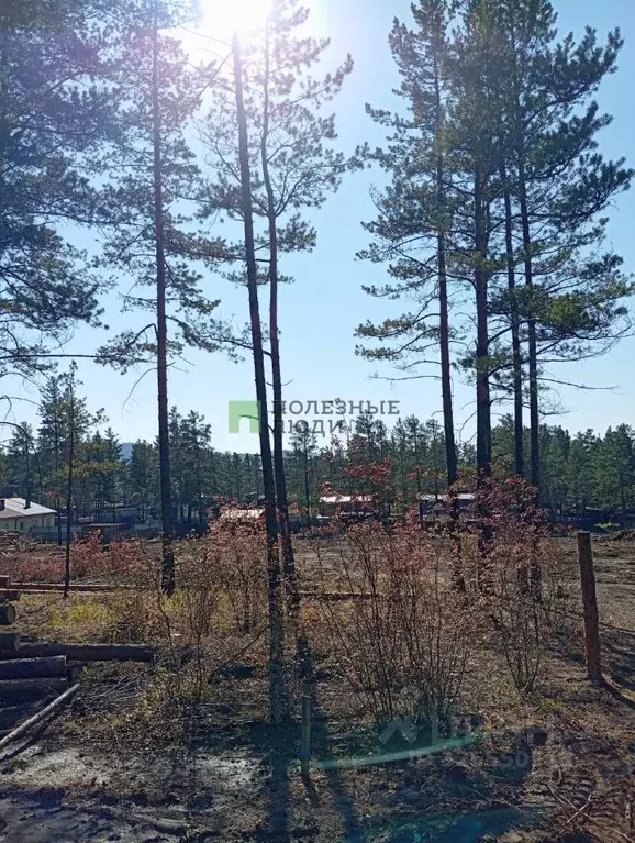 Участок в Забайкальский край, Читинский район, Атамановское городское ... - Фото 2