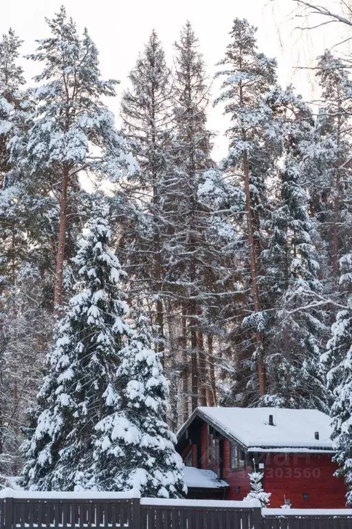 Участок, 11 сот., поселения (ижс) - Фото 1