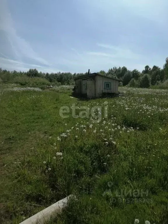 Участок в Новгородская область, Новгородский район, Савинское с/пос, ... - Фото 0