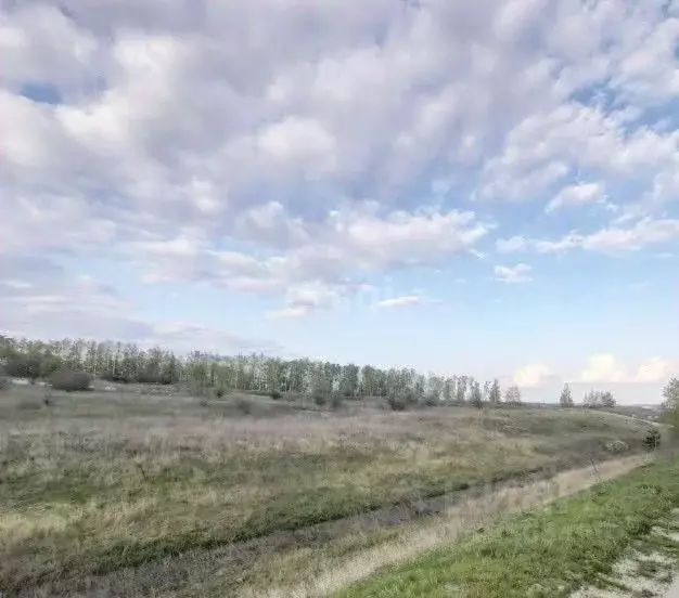 Участок в Воронежская область, Хохольский район, с. Борщево  (981.5 ... - Фото 0