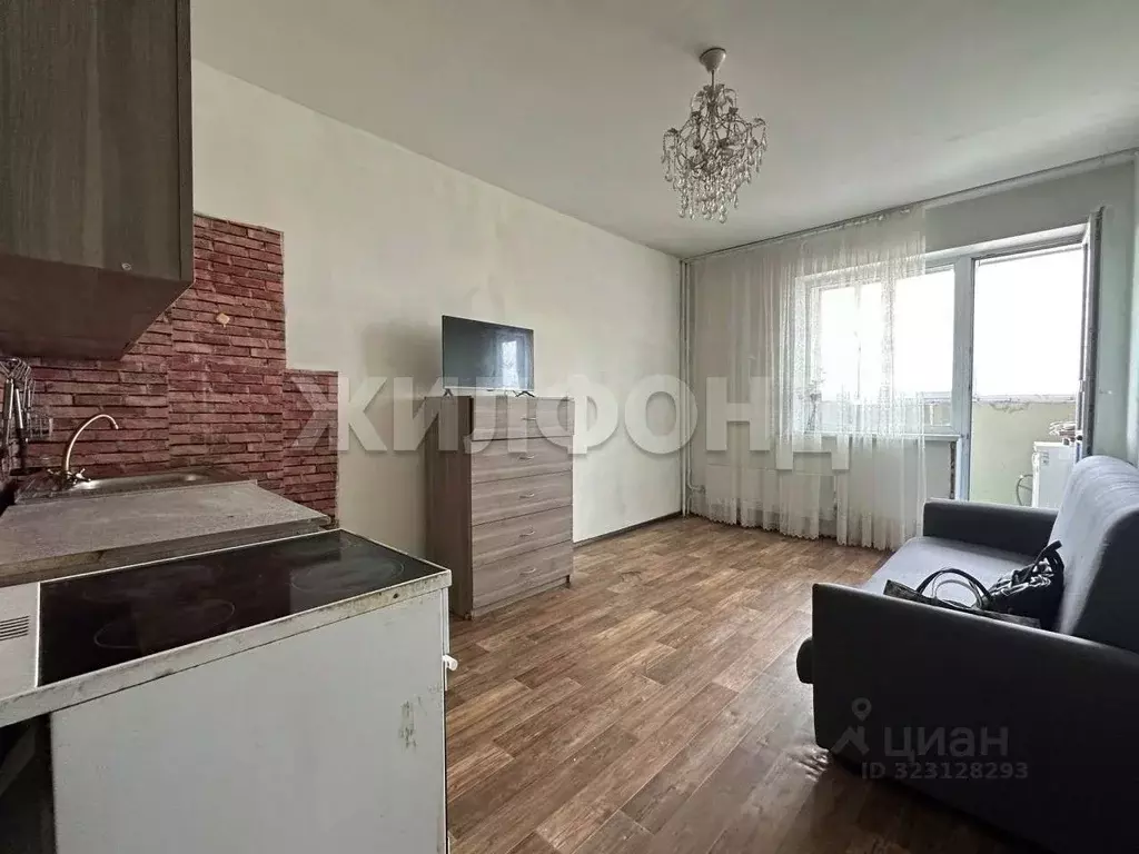 1-к кв. Новосибирская область, Новосибирск Первомайская ул., 230 (27.3 ... - Фото 2