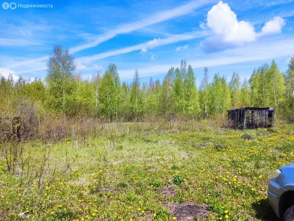 Участок в Бессоновский район, СНТ Кристалл, 3-я улица (5.5 м) - Фото 1