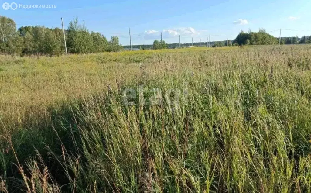 Участок в Пермский край, Ильинский муниципальный округ, село Филатово ... - Фото 1