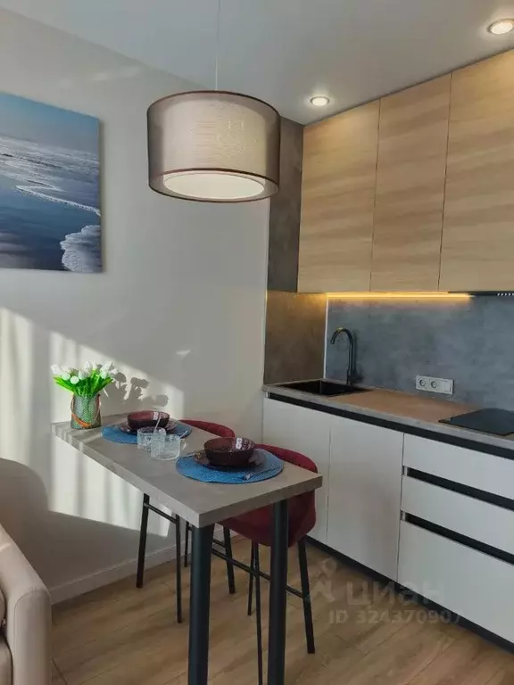 Студия Краснодарский край, Сочи Бытха мкр, ул. Ясногорская, 16/6к5 ... - Фото 2