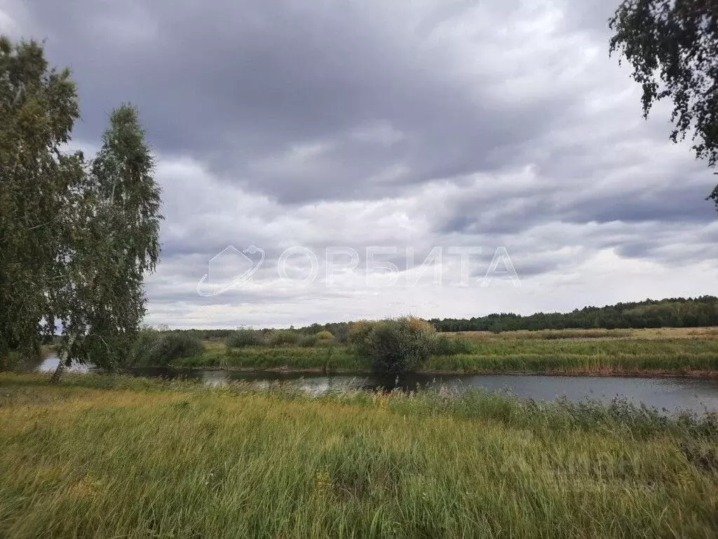 Участок в Курганская область, Куртамышский муниципальный округ, с. ... - Фото 2