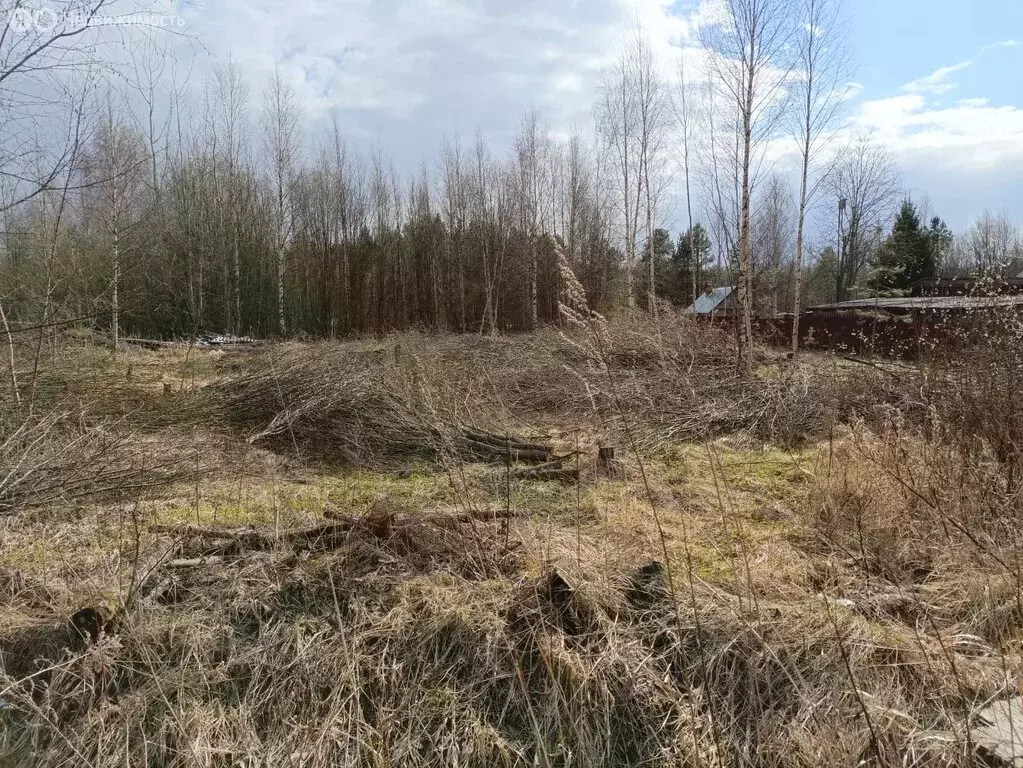 Участок в Кривец, Новая улица (10 м) - Фото 2