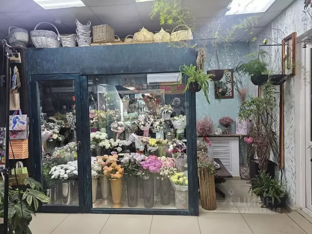 Помещение свободного назначения в Тюменская область, Тюмень ул. ... - Фото 1