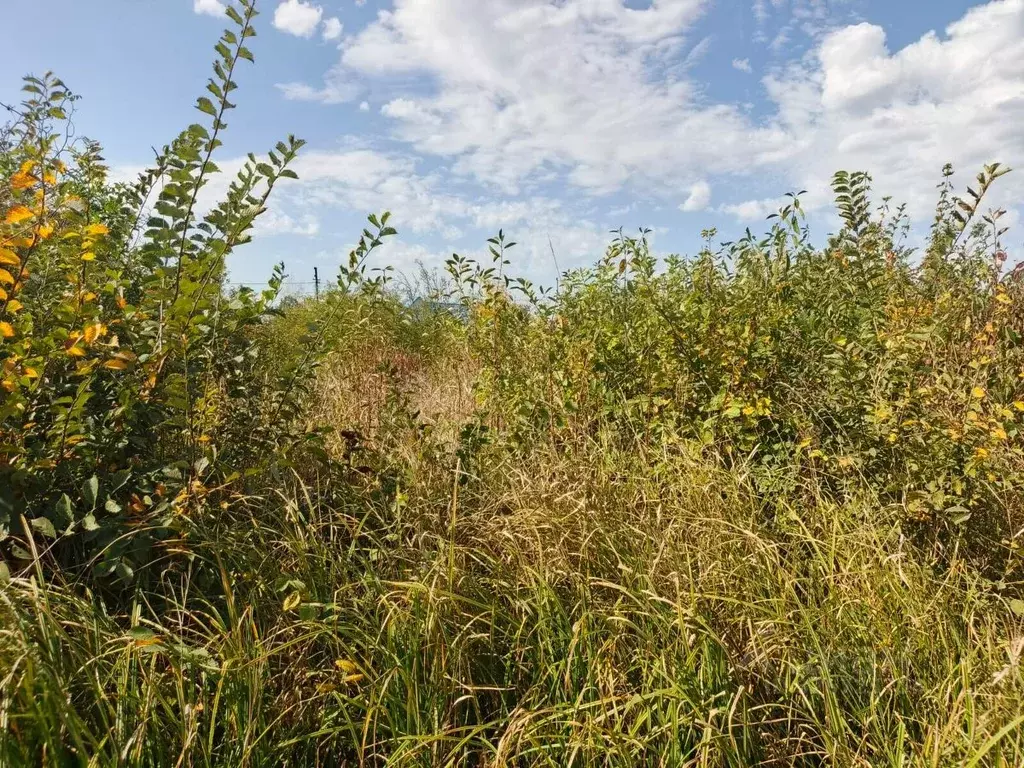 Участок в Краснодарский край, Северский район, Афипское городское ... - Фото 1