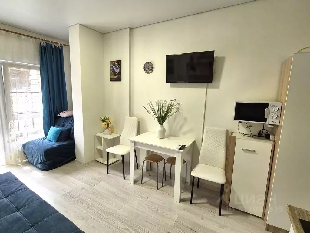 Студия Краснодарский край, Сочи Красная ул., 34Ж (23.0 м) - Фото 1