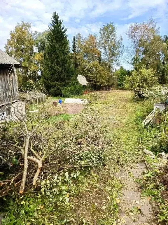 Участок в Костромская область, Кострома Заря Коммунизма садоводческое ... - Фото 1