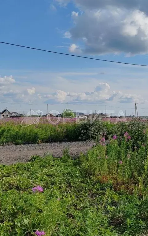 Участок в Тюменская область, Тюменский район, д. Малиновка  (5.0 сот.) - Фото 0