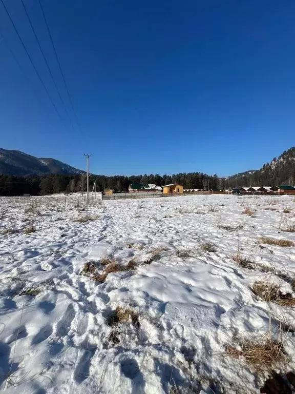 Участок в Алтай, Чемальский район, Чепошское с/пос  (10.56 сот.) - Фото 2