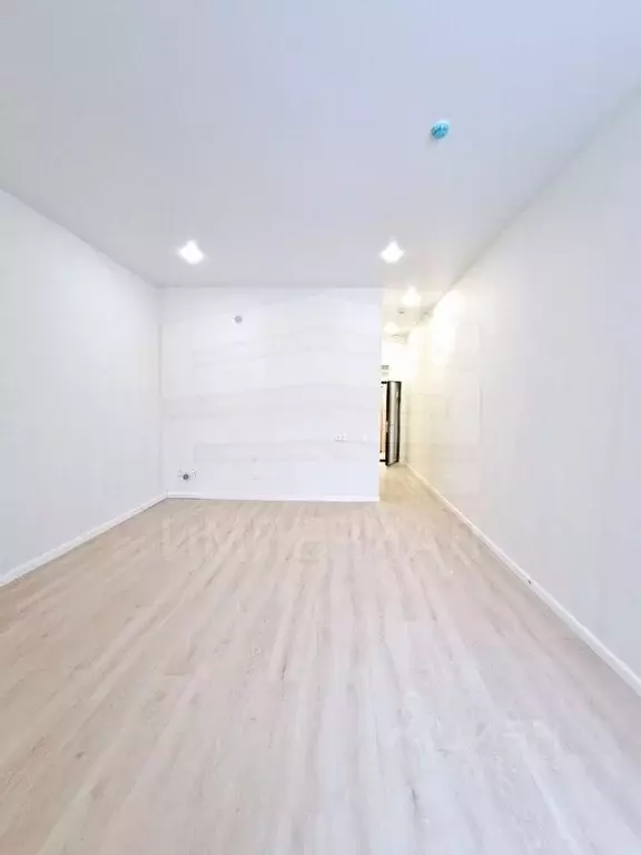 Студия Московская область, Люберцы Октябрьский просп., 403 (36.5 м) - Фото 2