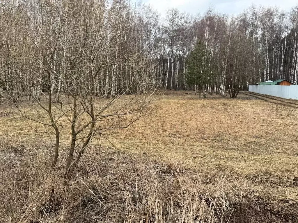 Участок в Московская область, Богородский городской округ, д. ... - Фото 0