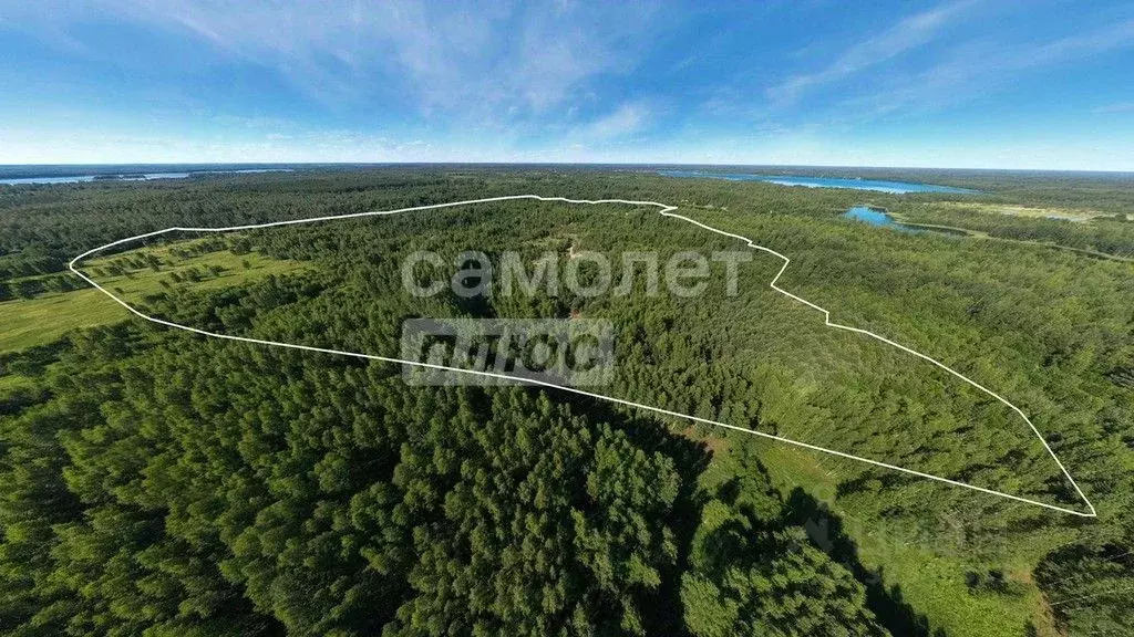 Участок в Тверская область, Вышневолоцкий муниципальный округ, с. ... - Фото 2