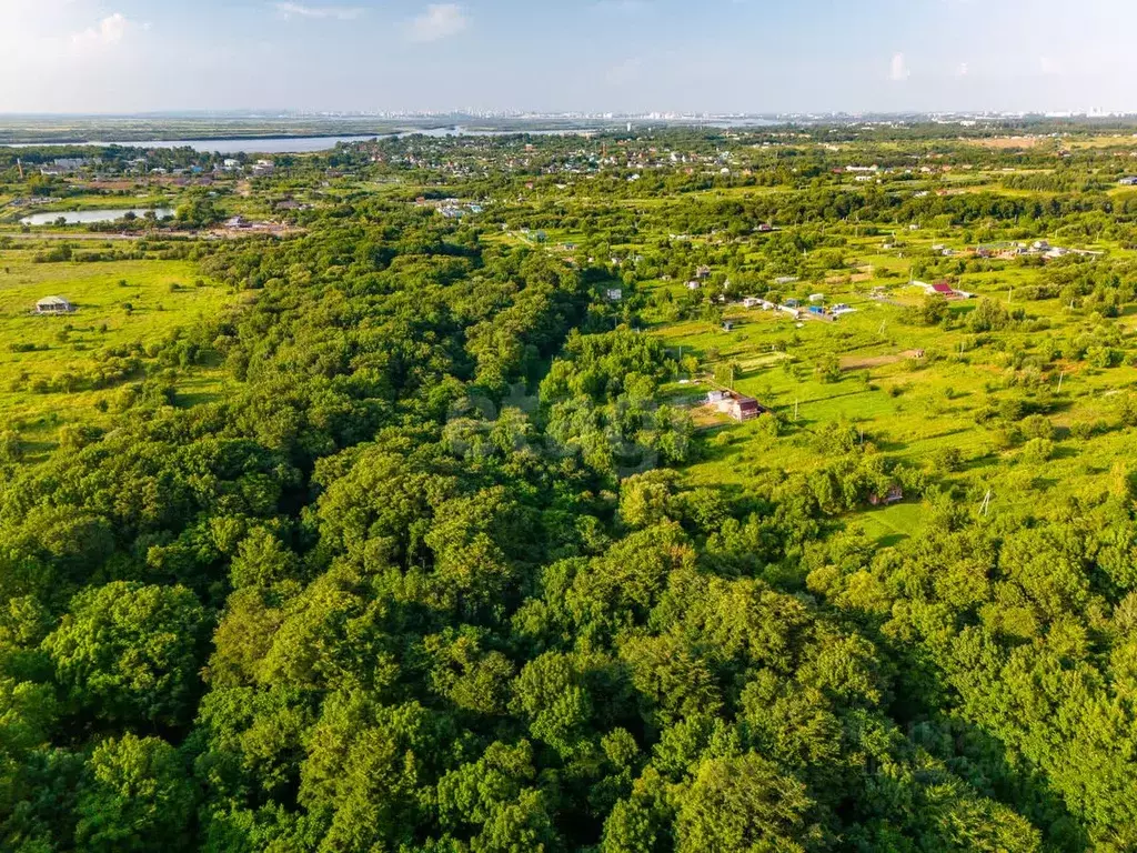 Участок в Хабаровский край, Хабаровский район, с. Краснореченское  ... - Фото 1