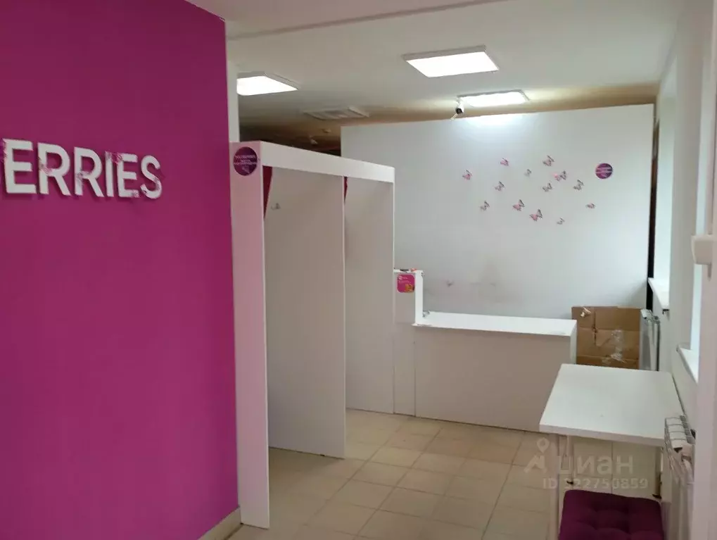 Торговая площадь в Нижегородская область, Нижний Новгород ул. ... - Фото 2