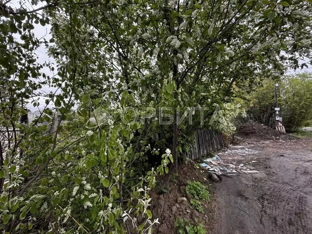 Участок в Тюменская область, Тюмень Березка СНТ, ул. 3-я Садовая, 2 ... - Фото 1