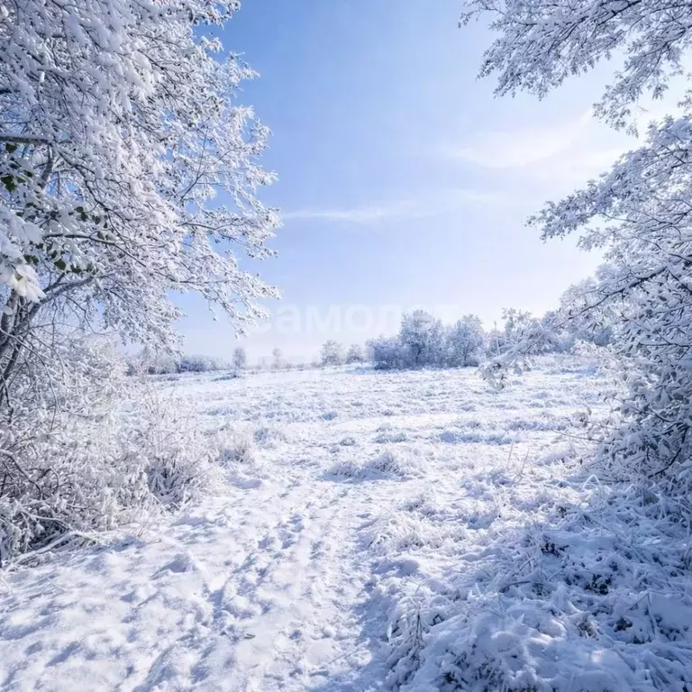 Участок в Курская область, Курский район, Пашковский сельсовет, Биолог ... - Фото 0