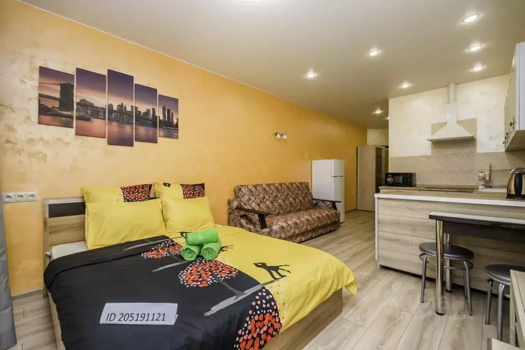 1-к кв. Московская область, Ногинск Богородский городской округ, ул. ... - Фото 2