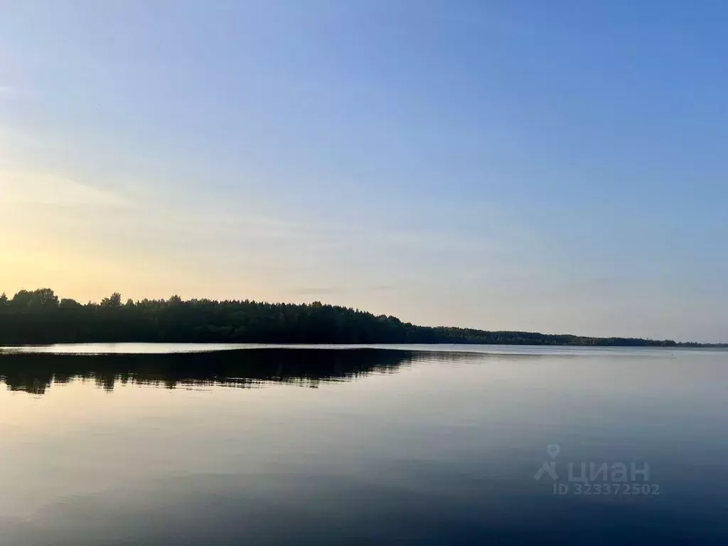 Дом, 46 м - Фото 2