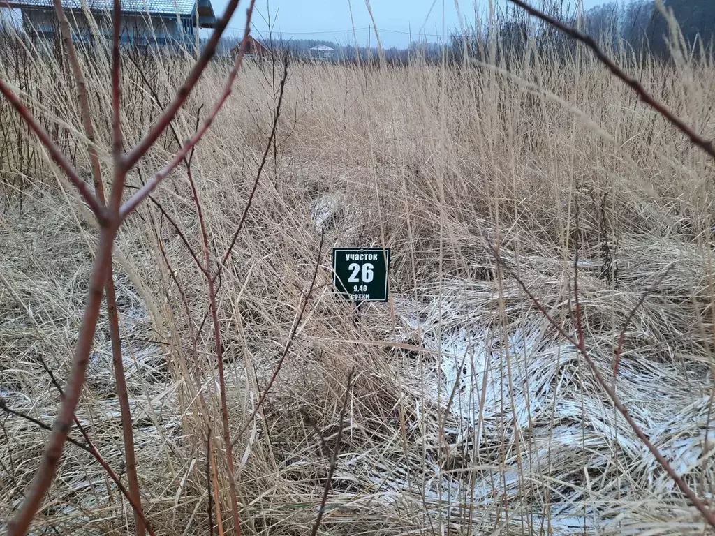 Участок в Московская область, Ступино городской округ, с. Колычево ул. ... - Фото 1