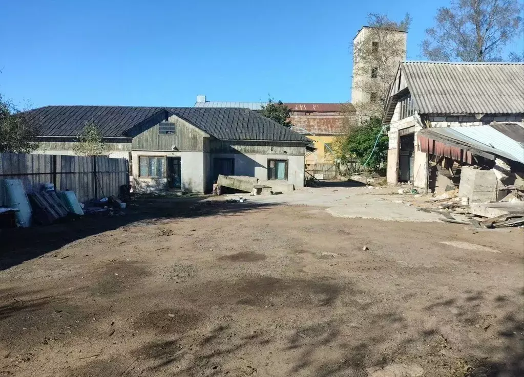 Склад в Ленинградская область, Выборг ул. Таммисуо, 5 (125 м) - Фото 2