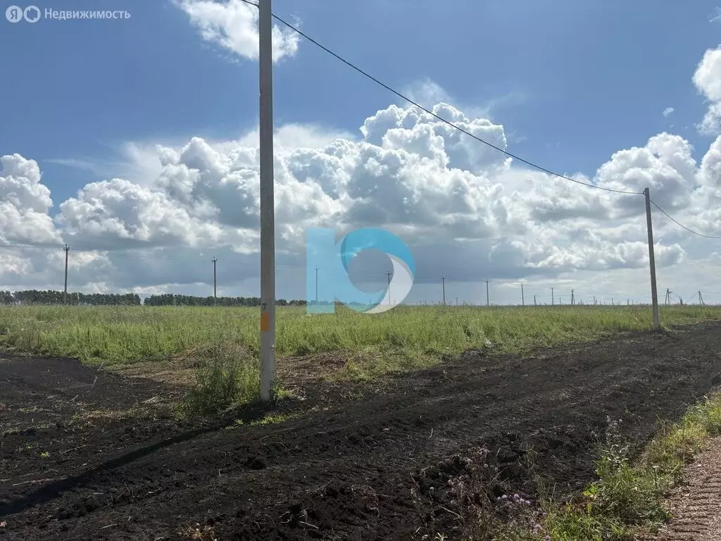 Участок в деревня Новомусино, улица Мустафы Газизова (10 м) - Фото 2