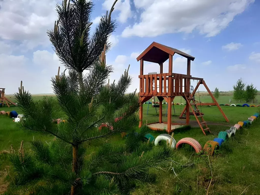 Участок в Новосибирская область, Новосибирский район, Толмачевский ... - Фото 0