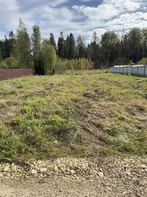 Участок в Ленинградская область, Гатчинский муниципальный округ, д. ... - Фото 2