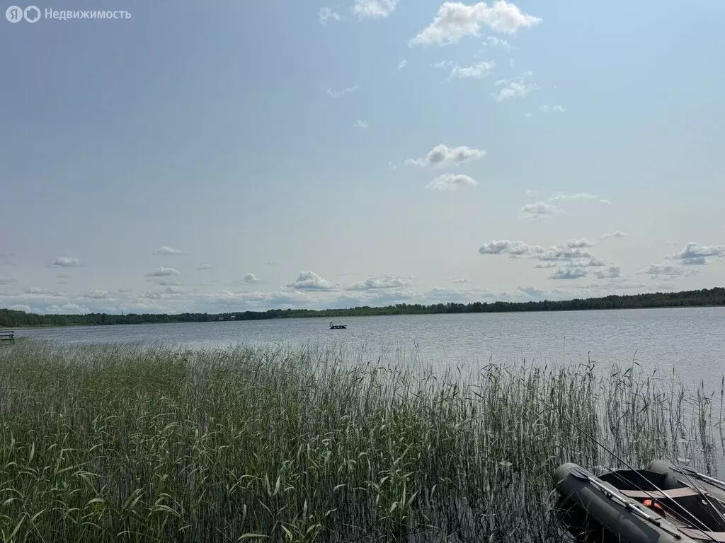 Участок в Выборгский район, Каменногорское городское поселение, СНТ ... - Фото 0