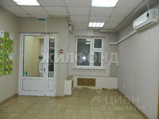 Помещение свободного назначения в Новосибирская область, Новосибирск ... - Фото 1