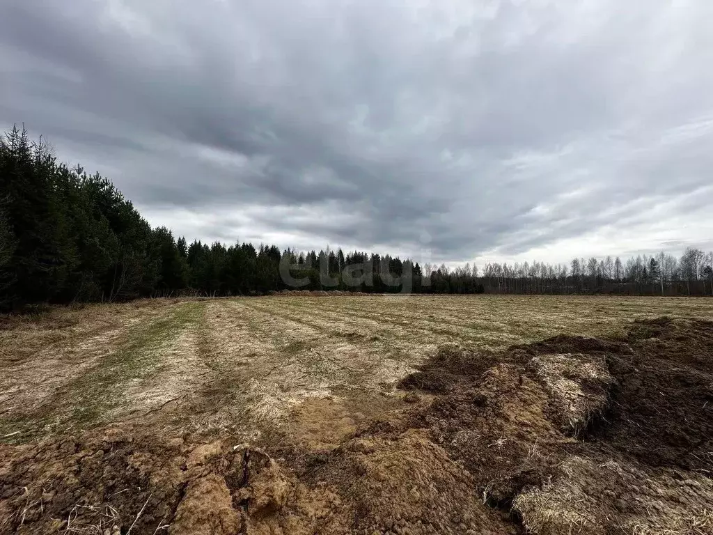 участок в московская область, клин городской округ, решетниково рп ул. . - Фото 0