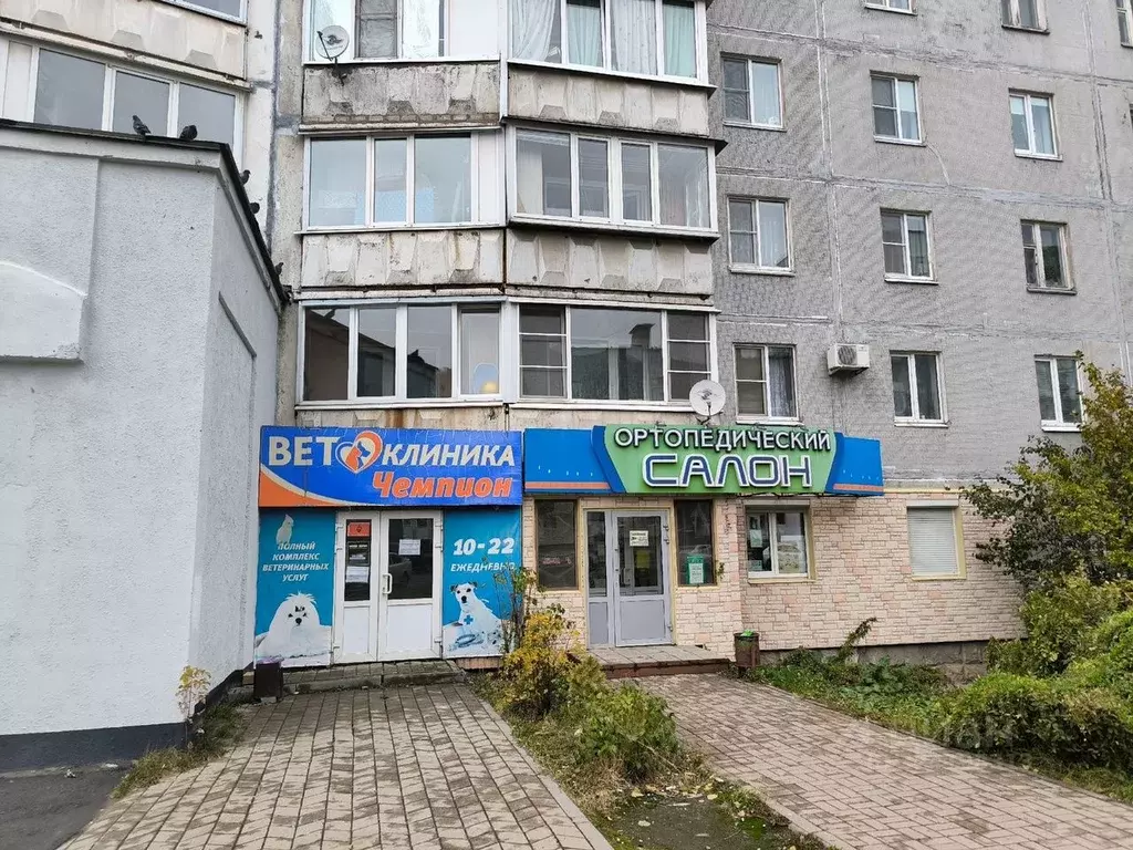 Торговая площадь в Вологодская область, Череповец ул. Наседкина, 12 ... - Фото 1