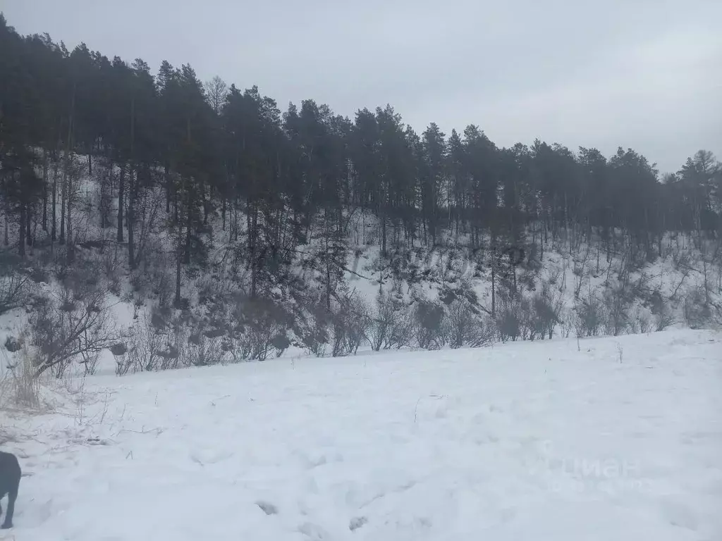 Участок в Алтай, Чемальский район, с. Бешпельтир Центральная ул. (14.0 ... - Фото 0