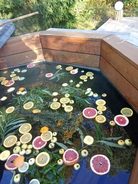 Дом в Ленинградская область, Приозерский район, Красноозерное с/пос, ... - Фото 2