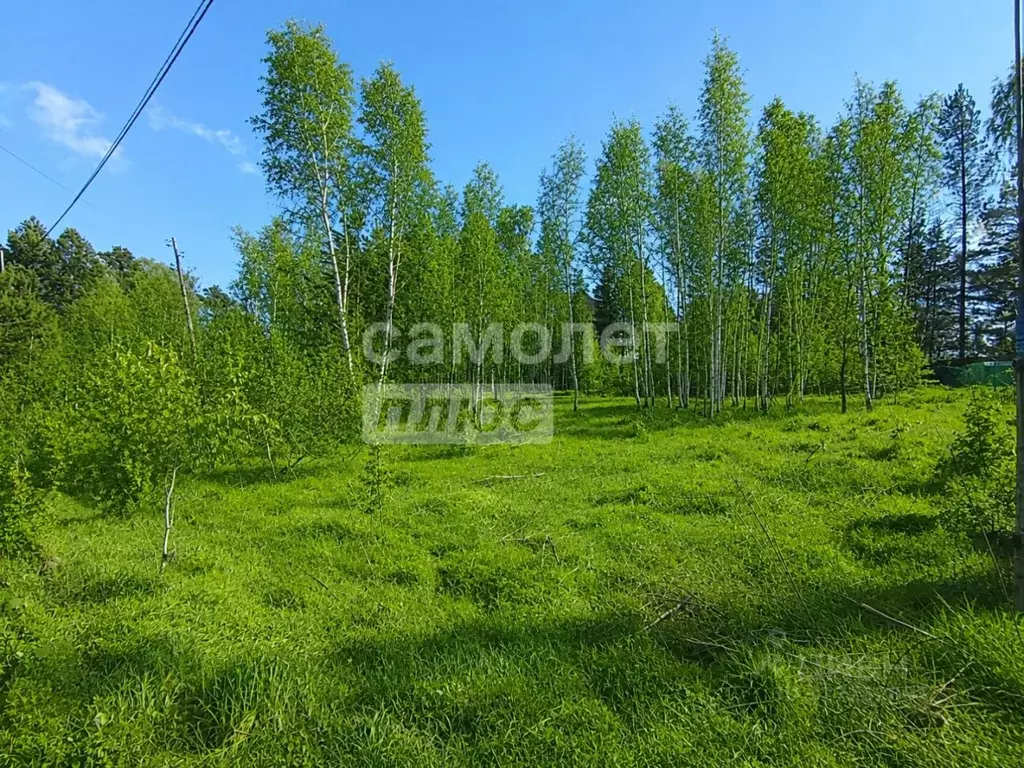 Участок в Томская область, Томский район, д. Головина  (20.0 сот.) - Фото 1