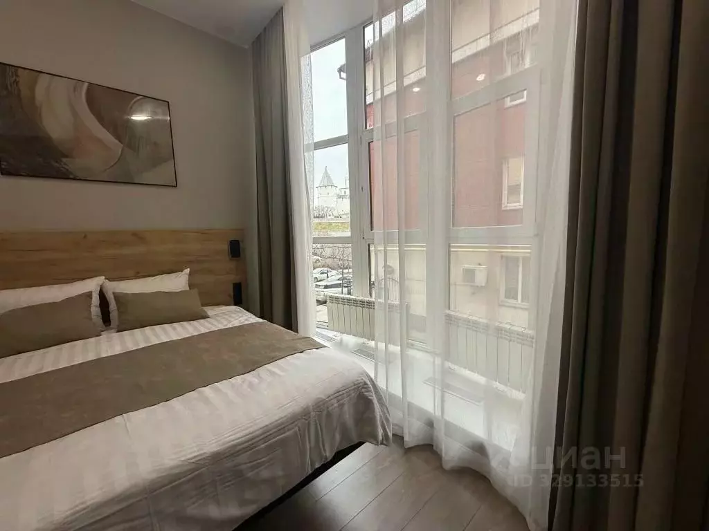 1-к кв. Татарстан, Казань ул. Карла Маркса, 5 (20.0 м) - Фото 1