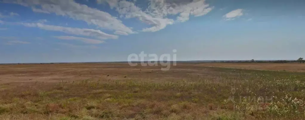 Участок в Крым, Черноморский район, с. Новосельское ул. Ленина (91.3 ... - Фото 1