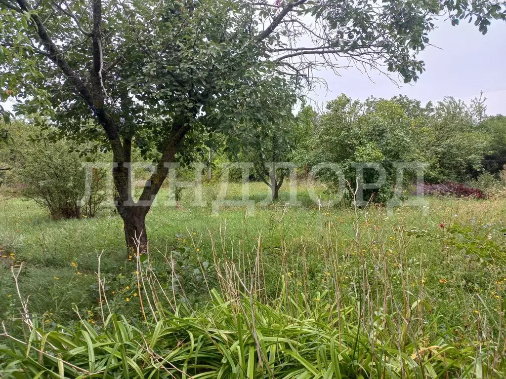 Участок в Ростовская область, Мясниковский район, Большесальское ... - Фото 1