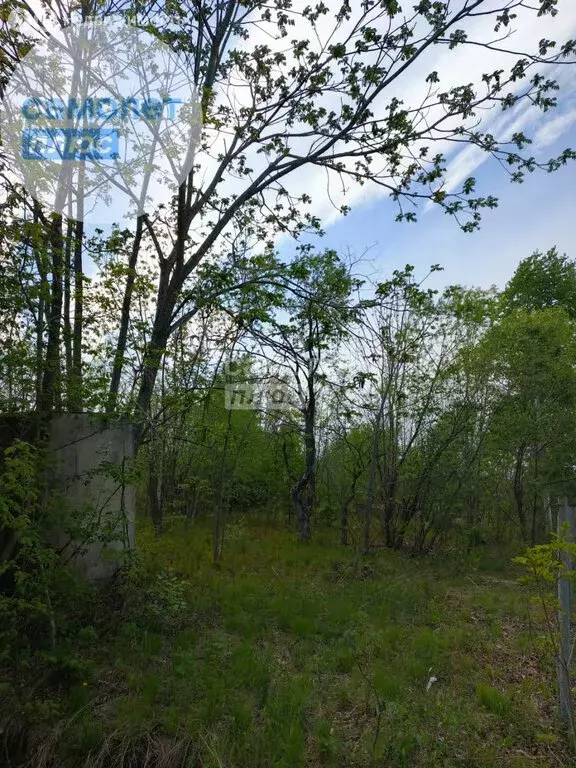 Участок в Надеждинский район, посёлок Соловей-Ключ (10 м) - Фото 2