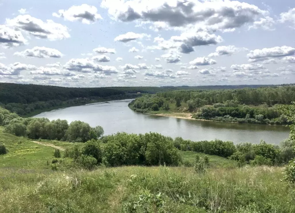 1-к кв. Тульская область, Алексин ул. Здоровья, 3 (31.0 м) - Фото 1
